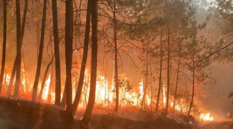 Desde la mañana de ayer jueves se registró un fuerte incendio en el Bosque de Mazamitla, que hasta este viernes no ha podido ser controlado. CORTESÍA / Protección Civil