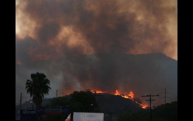 El incendio en el Tepopote habría sido provocado con intereses inmobiliarios. EL INFORMADOR / ARCHIVO