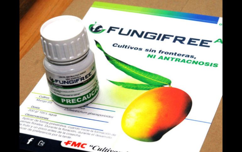 Fungifree AB® ataca de manera principal las plagas y también estimula la defensa y crecimiento de la planta. ESPECIAL / UNAM