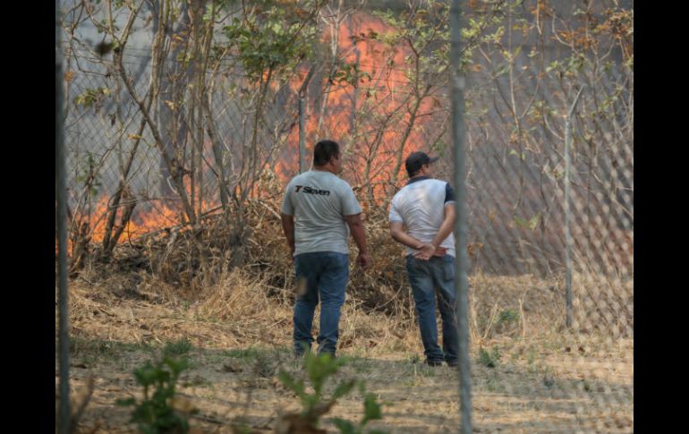 Desde las 16:15 horas del lunes se registró un incendio en La Primavera, al poniente de El Bajío en Pinar de la Venta. EL INFORMADOR / G. Gallo