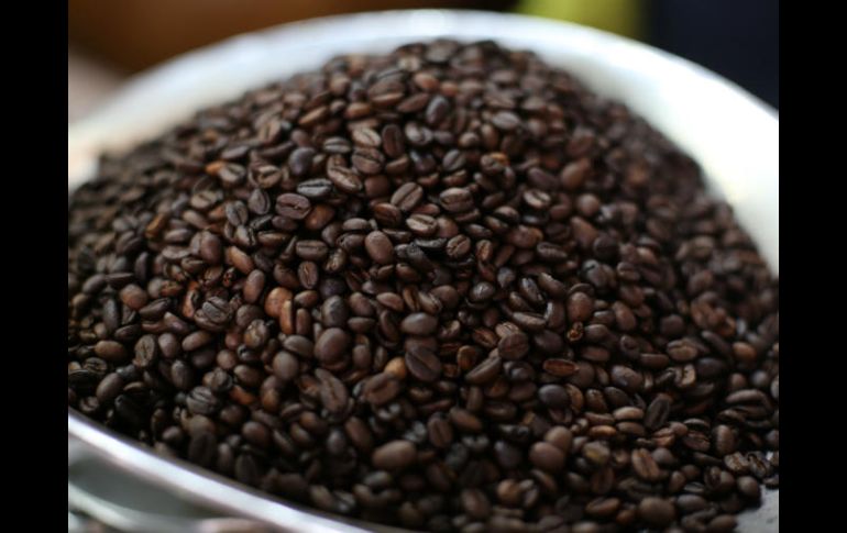 Cada año se envían más de 28 mil toneladas de café mexicano a Europa. EL INFORMADOR / ARCHIVO