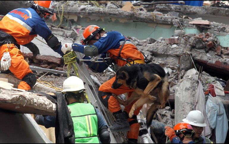 Rescatistas realizan labores de búsqueda en un edificio de Taxqueña.