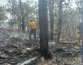 Este fue el quinto incendio registrado en al menos 7 días dentro del área natural protegida del bosque. ESPECIAL