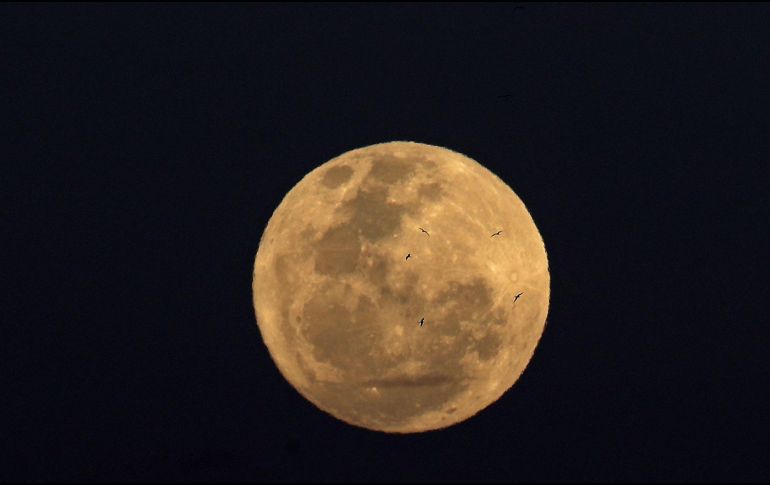 La luna puede ser vista de diferentes tonalidades. EFE/ARCHIVO