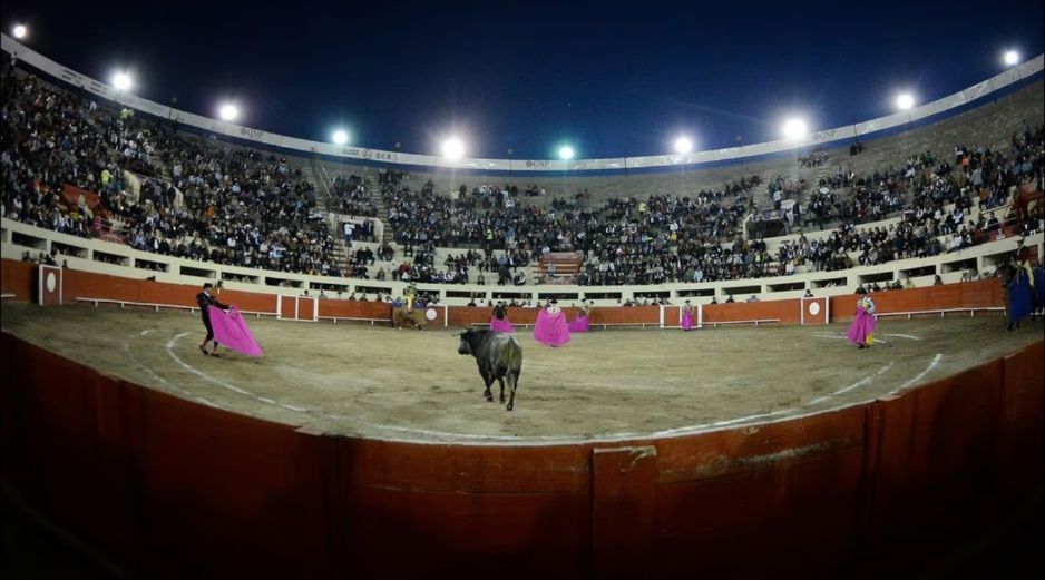 De ninguna forma implican el reconocimiento de los eventos taurinos como una práctica protegida por los derechos de la cultura: Paulín Mendoza. ESPECIAL